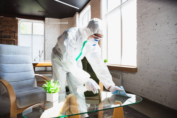 La Puente, CA Mold Removal Company